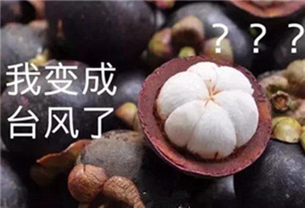 “山竹”還未走遠(yuǎn)，但貝朗全自動彎線機(jī)已正常上班啦！