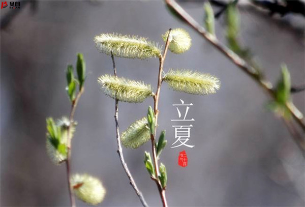 二十四節(jié)氣立夏，那些您不知道的習(xí)俗