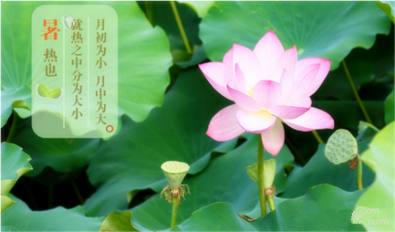 暑臻三伏醉難熬，拭汗揮巾似雨飄——鐵絲成型機(jī)