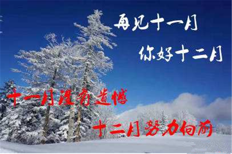11月再見 ，12月你好——貝朗全自動鋼絲機(jī)