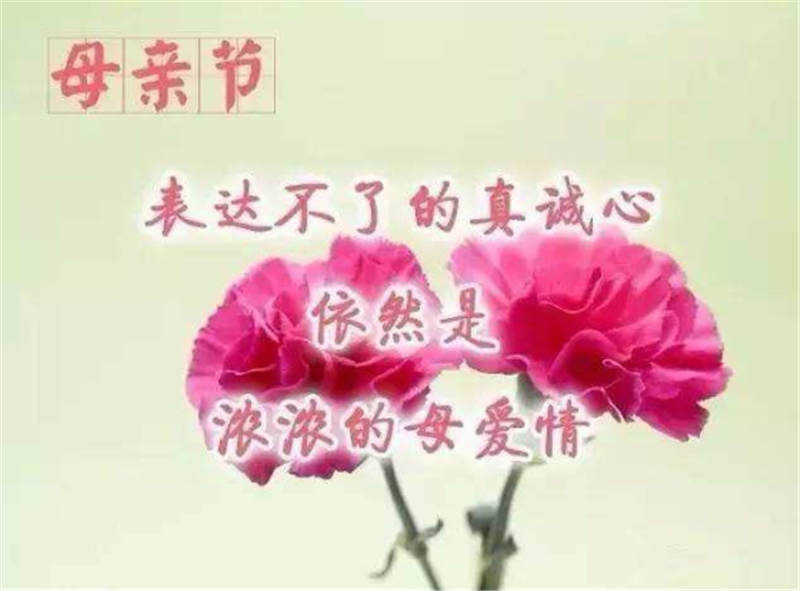 母親節(jié)——轉(zhuǎn)載網(wǎng)絡圖片