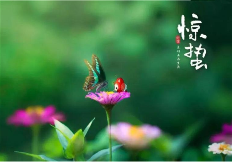 二十四節(jié)氣“驚蜇”都有哪些習(xí)俗？