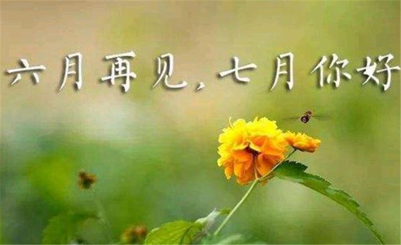 六月再見、7月你好